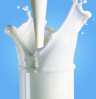 Glass of Milk