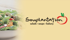Souplantation logo