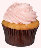 Pink Dog Bakery cupcakes