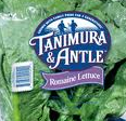 Tanimura & Antel romaine lettuce Tanimura & Antel romaine lettuce