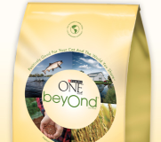 Purina one beyond